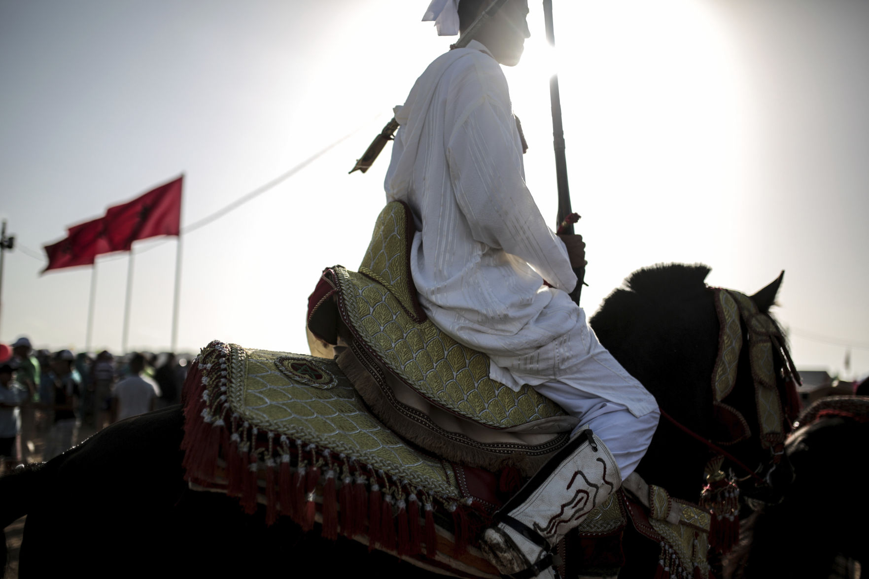 Morocco equine tradition